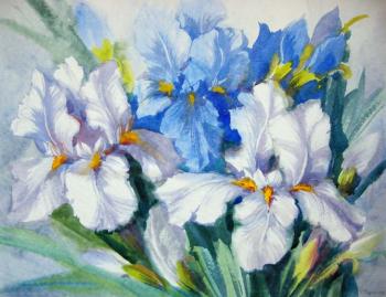 White irises (Katya Michalski). Mikhalskaya Katya