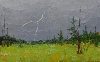 May thunderstorms. Golovchenko Alexey