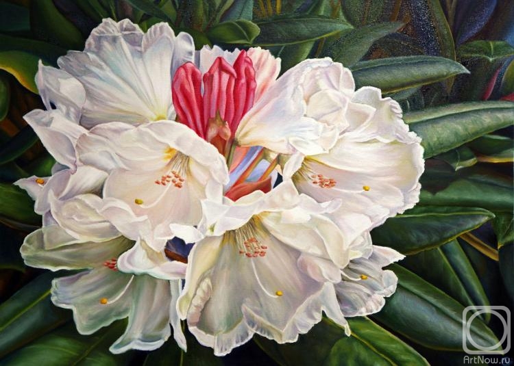 ������� ������ �� ������. �������� �������. �����������