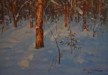 ������� ��������� �����