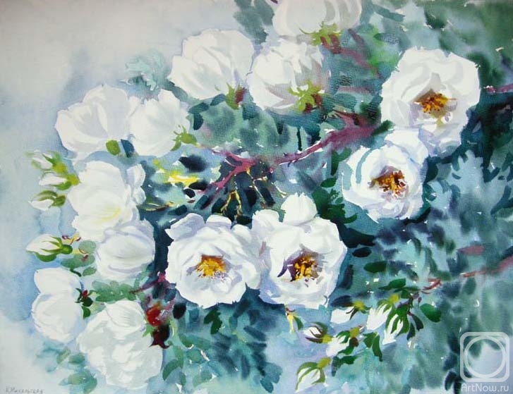 �������. ���������� ���������. �������� ����