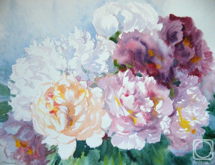 �������. ���������� ���������. ������ ����