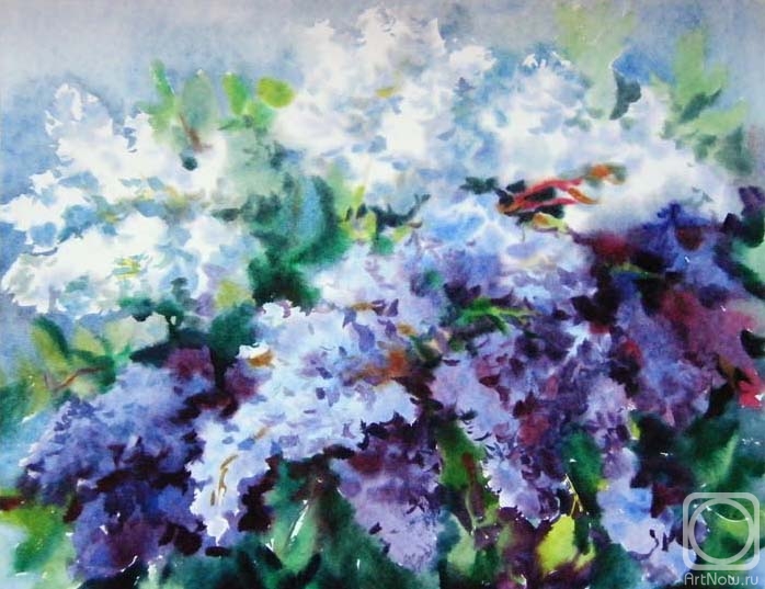 �������. ���������� ���������. ������