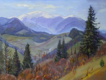 Carpathians. Guklivoe (Great Top). Zhupan Ivan