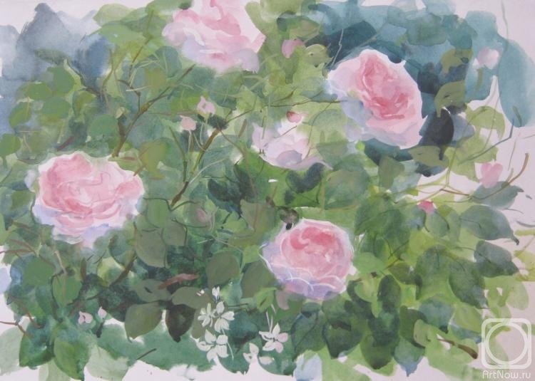 �������. ������� ��������. ����