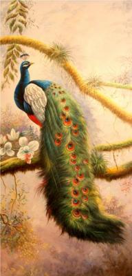 Peacock. Bruno Tina