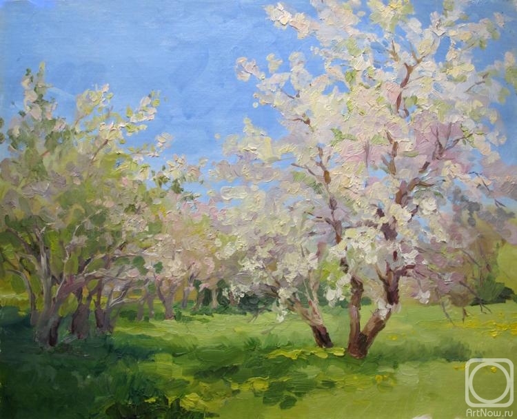 Vedeshina Zinaida. Cherry Orchard