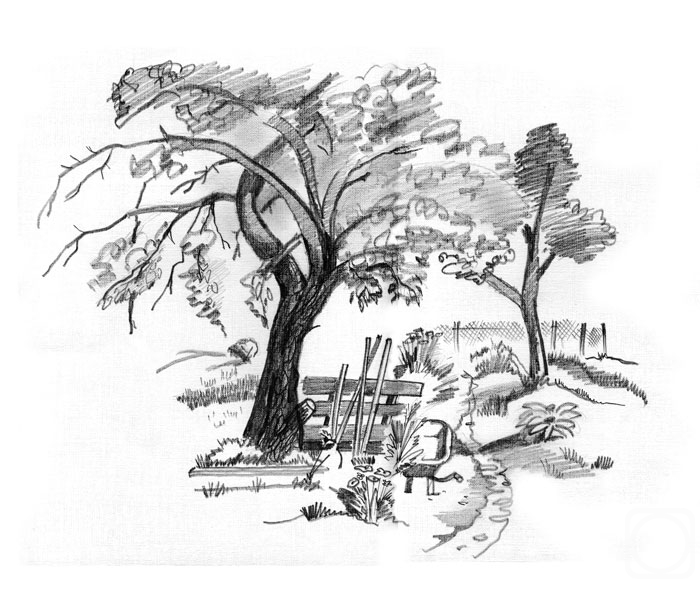 �������. �������� ��������. ������ ������