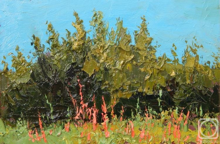 �������. ���������� �������. �����