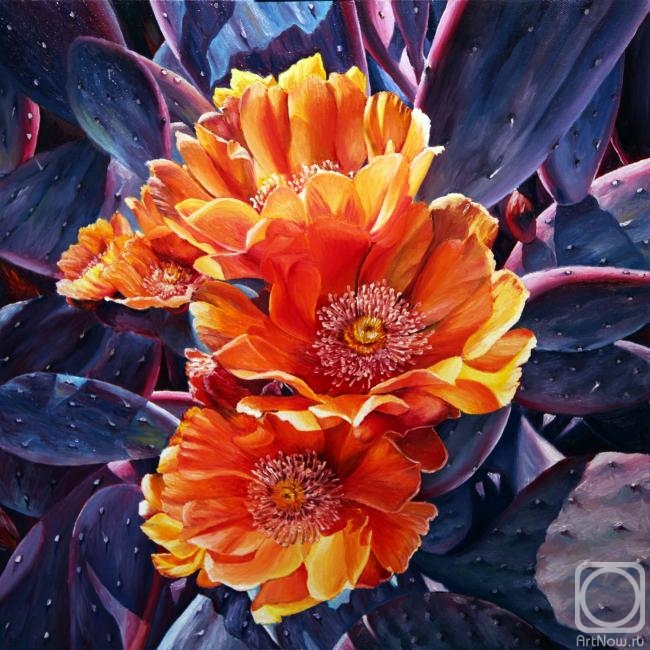 ������� ������ �� ������. �������� �������. ���������. ������