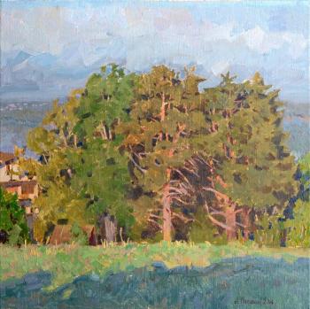 ������� ��������� ���������