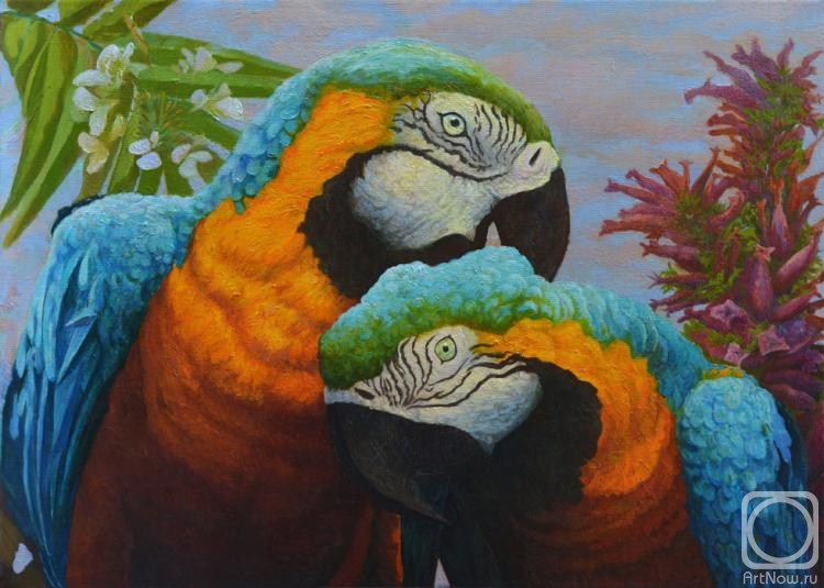 Dementiev Alexandr. Two parrots