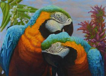 Two parrots. Dementiev Alexandr