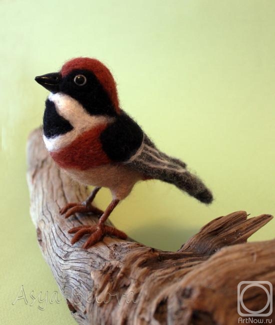 ������ ���. ���������� ������