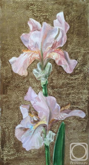 �������. ������� �����. ���� 1