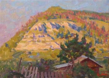 ������� ��������� ����