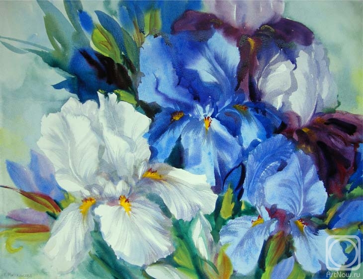 �������. ���������� ���������. �������� ����