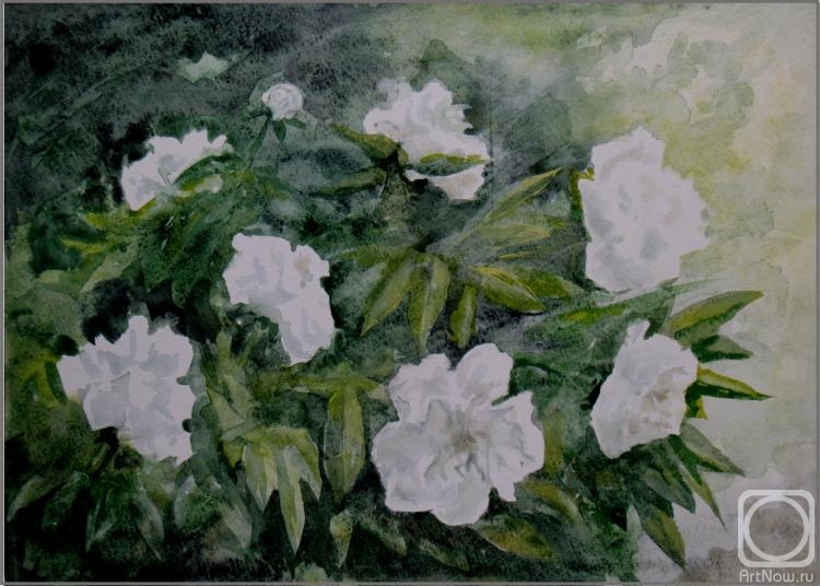 �������. ������� �����. � ��������