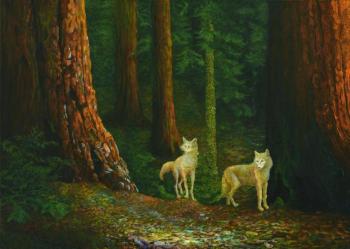 Wolves' travel through the relict woods