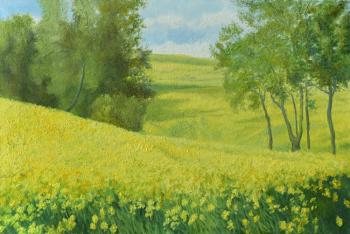 Endless yellow fields. Dementiev Alexandr