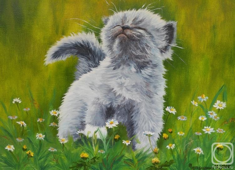 ������� ������ �� ������. ������� �����. � ��� �������!