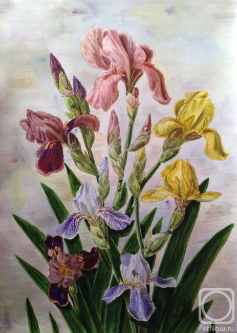 �������. ������� �����. �����