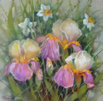 Irises and daffodils