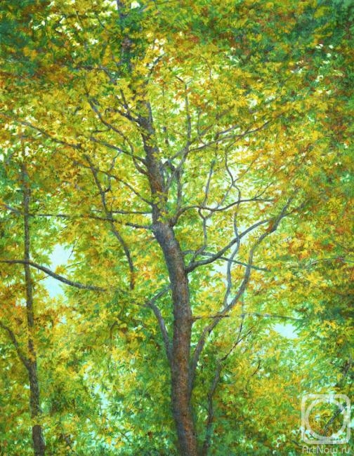 ������� ������ �� ������. ��������� ���������. ������������ ��������� ������