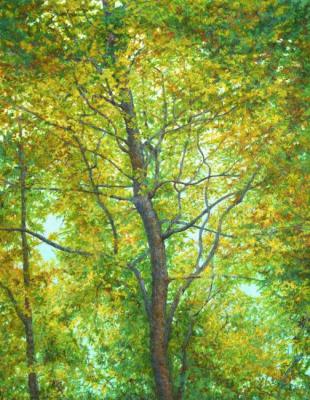 Golden-autumn branching tree. Dementiev Alexandr