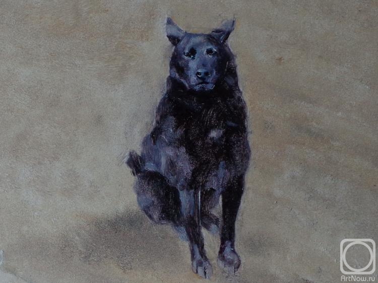 �������. �������� �������. ��������