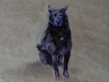 ������� ���������