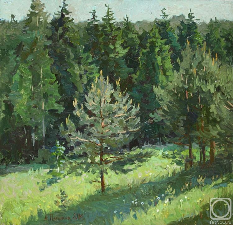 �������. ������� �������. ��� �������