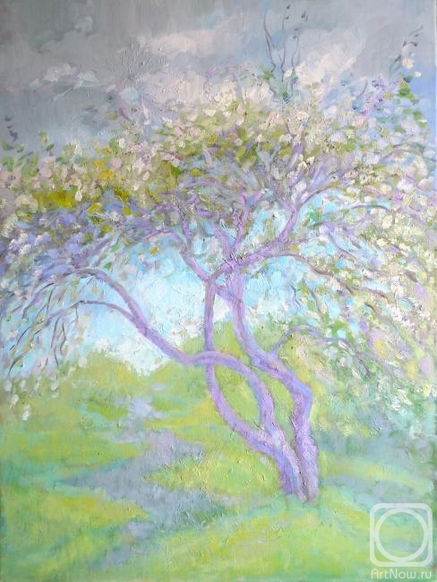 ������� ������ �� ������. ���������� ����. ��������