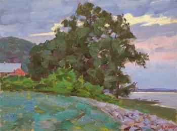 ������� ��������� ���