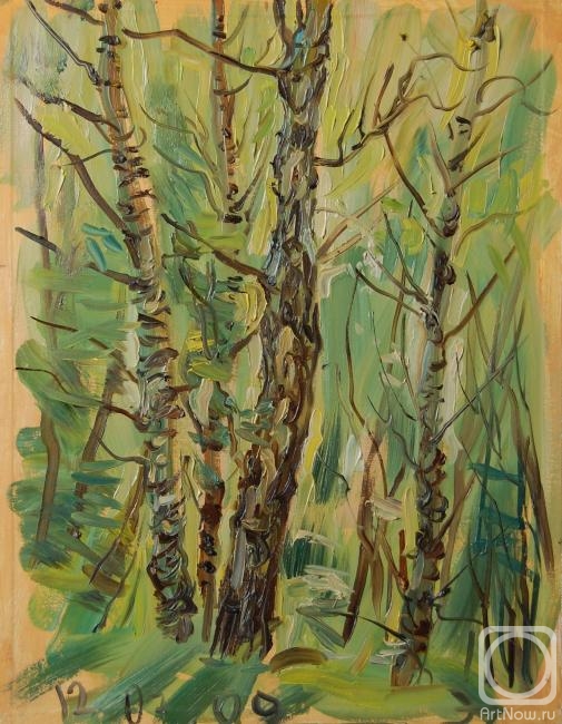 Dobrovolskaya Gayane. Ravine, Birch-Trees, Sunset