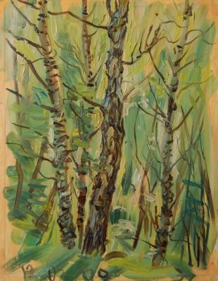 Painting Ravine, Birch-Trees, Sunset. Dobrovolskaya Gayane