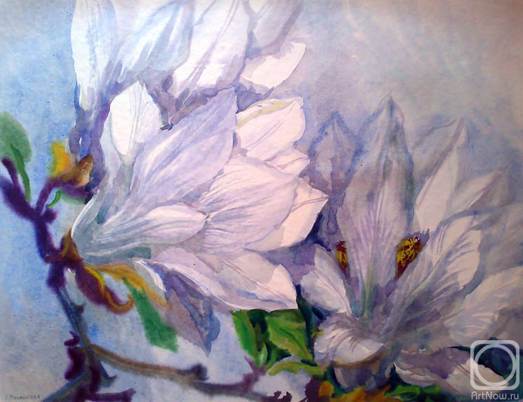 �������. ���������� ���������. ��������