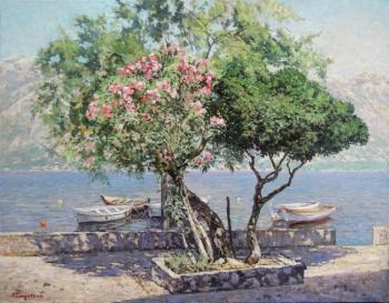 On the shore of the Bay of Kotor