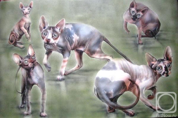 ��������� ����. �����