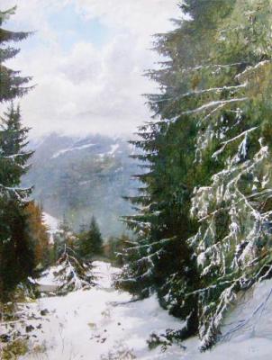 Trees in the snow. Switzerland. Egorov Viktor