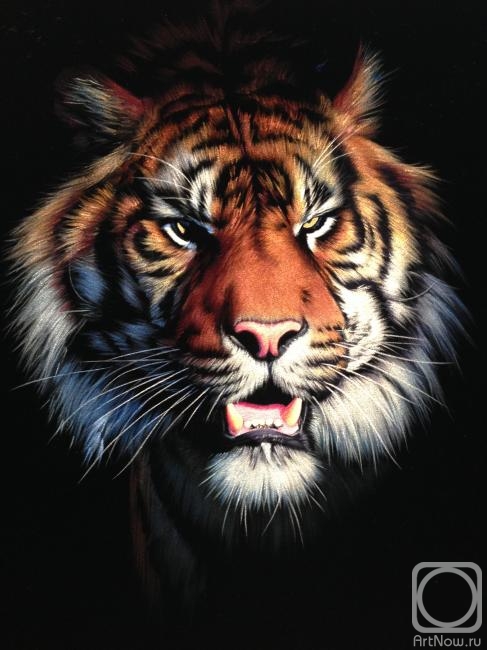Тигр» картина Эбзеева Шахарби (масло) — заказать на ArtNow.ru
