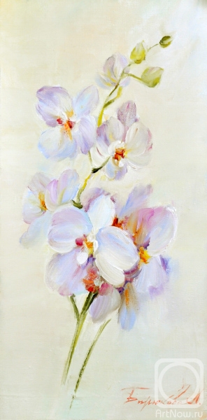 Biryukova Lyudmila. Orchid