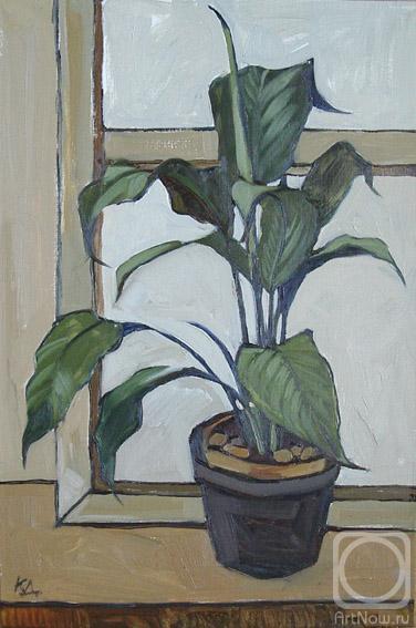 ������� ������ �� ������. ��������� ����. ������ �2