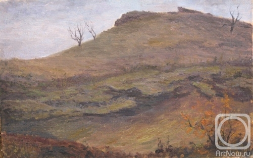 Bravkov Vladimir. Untitled