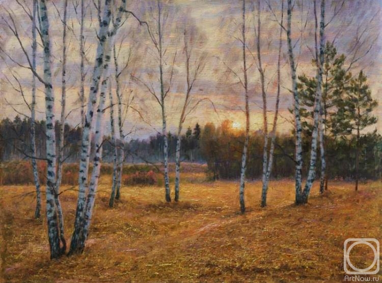 Razzhivin Igor. Landscape in the late autumn