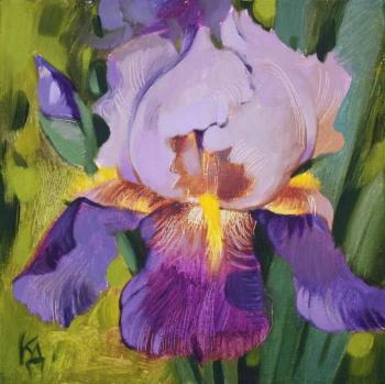 ������� �����