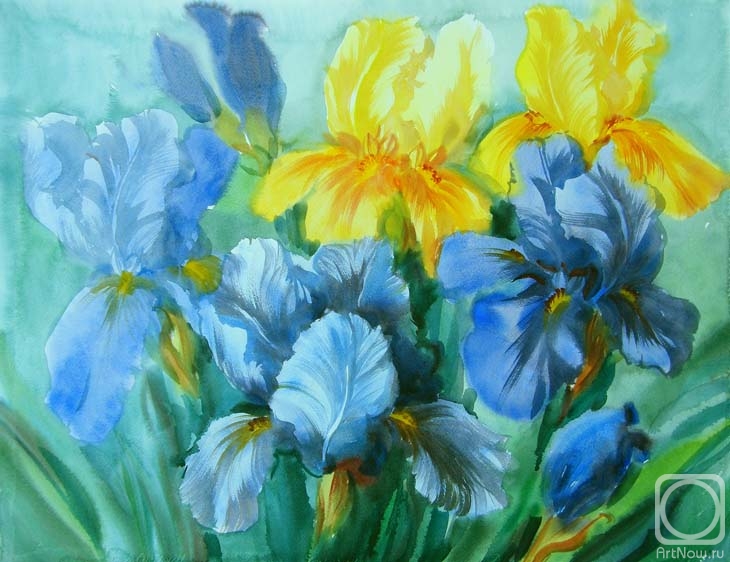 �������. ���������� ���������. ����� � ������