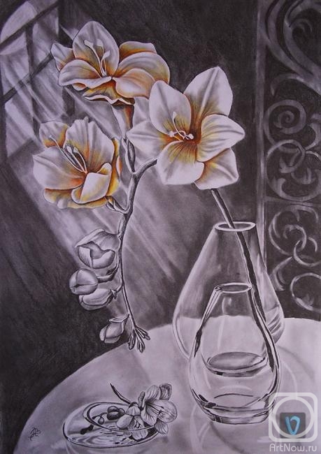 Lambeva Valentina. Night light