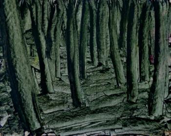 ������� ������ � ������ ������� ���