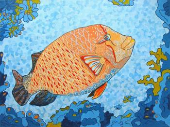 Fish Napoleon, young, beautiful